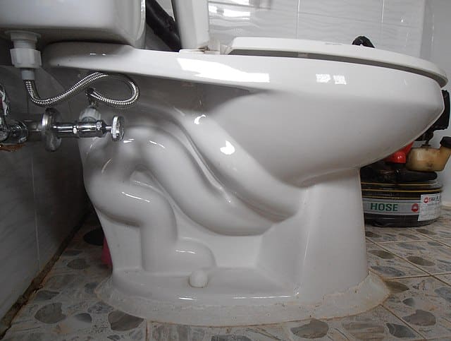 Close up image of the toilet bowl.